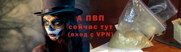 PSILOCYBIN Беломорск