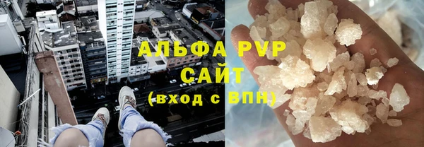 PSILOCYBIN Беломорск